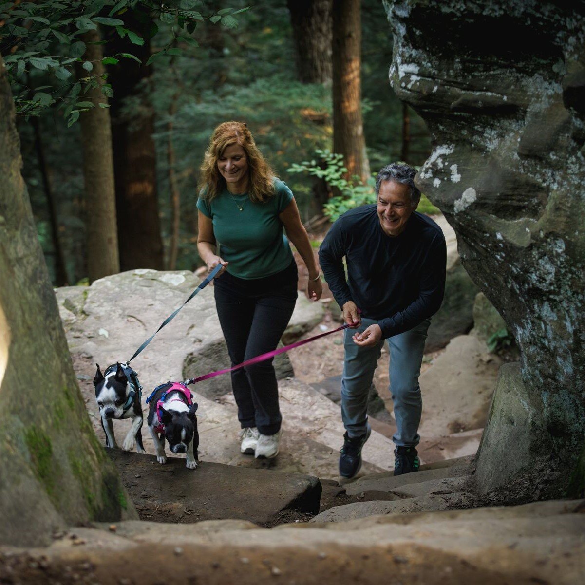 Hi & Light leichtes Hundegeschirr Bild 36