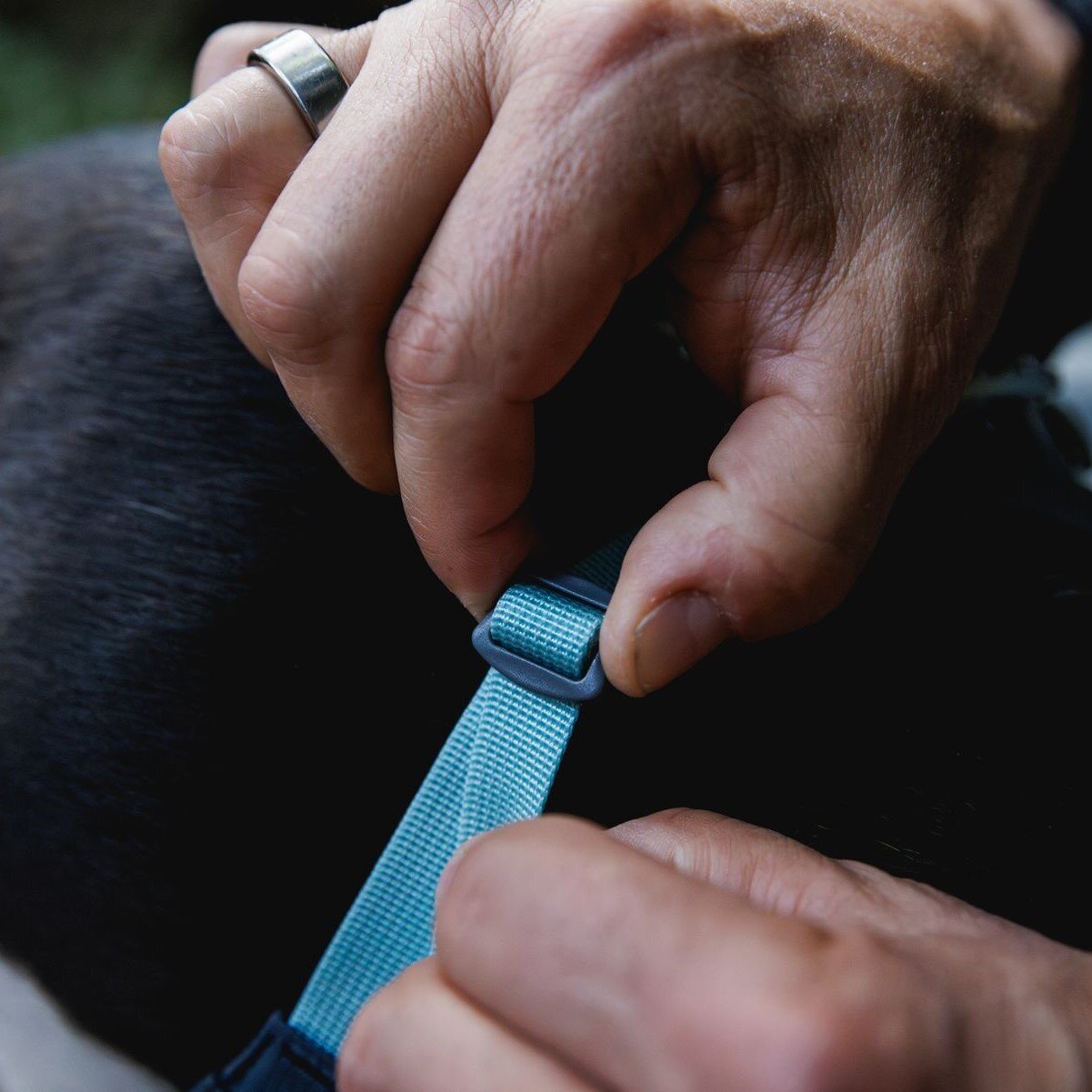 Hi & Light leichtes Hundegeschirr Bild 37