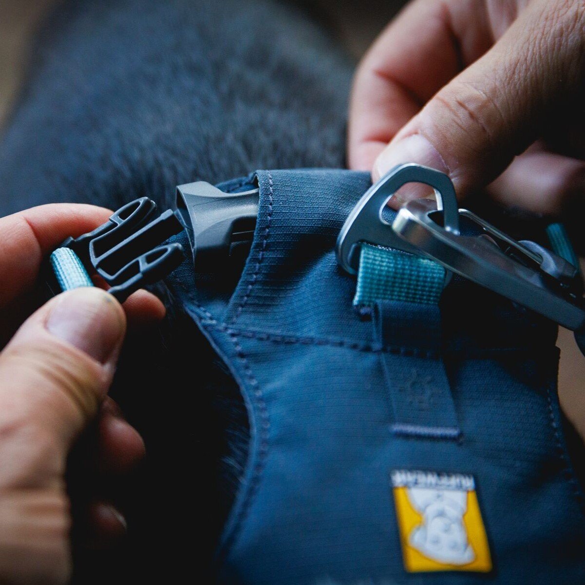 Hi & Light leichtes Hundegeschirr Bild 38