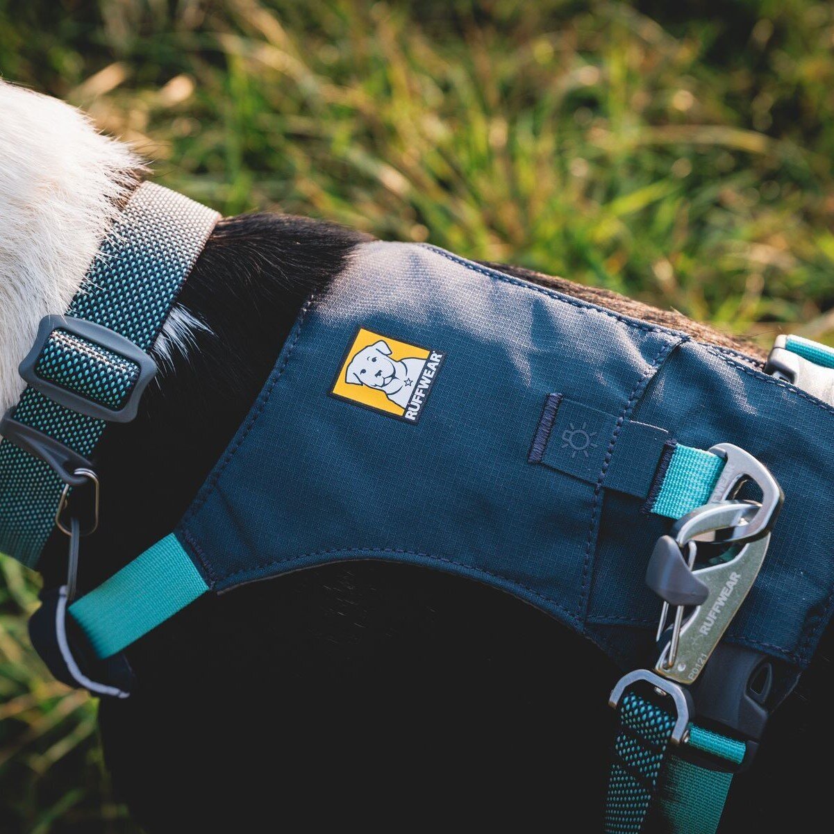 Hi & Light leichtes Hundegeschirr Bild 45