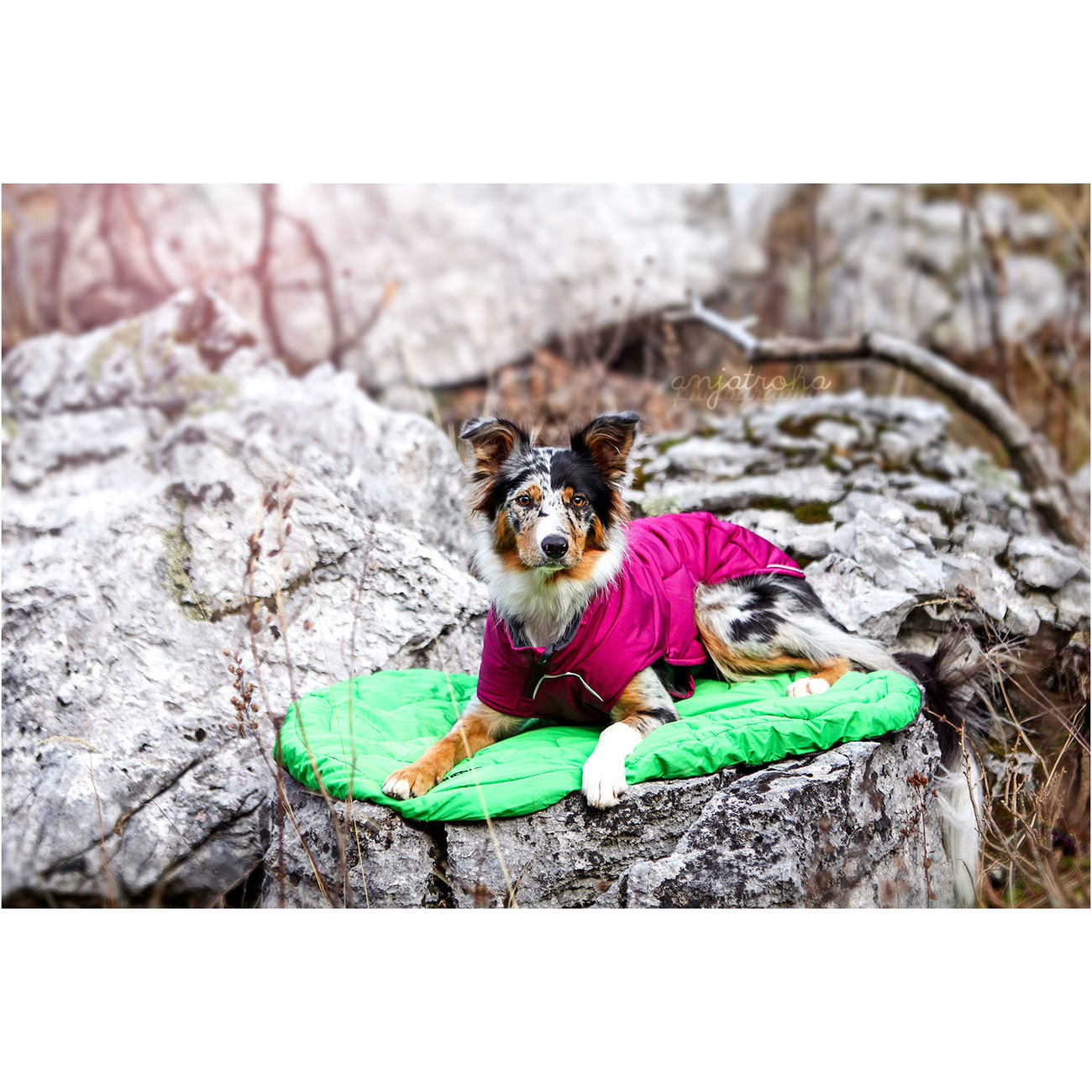 Ruffwear Hundebett Highlands Bed für Outdoor Bild 2