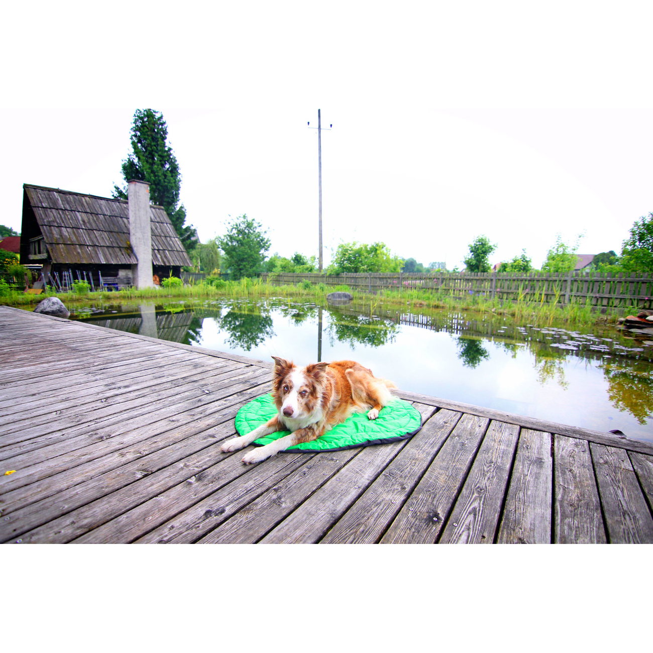 Ruffwear Hundebett Highlands Bed für Outdoor Bild 6