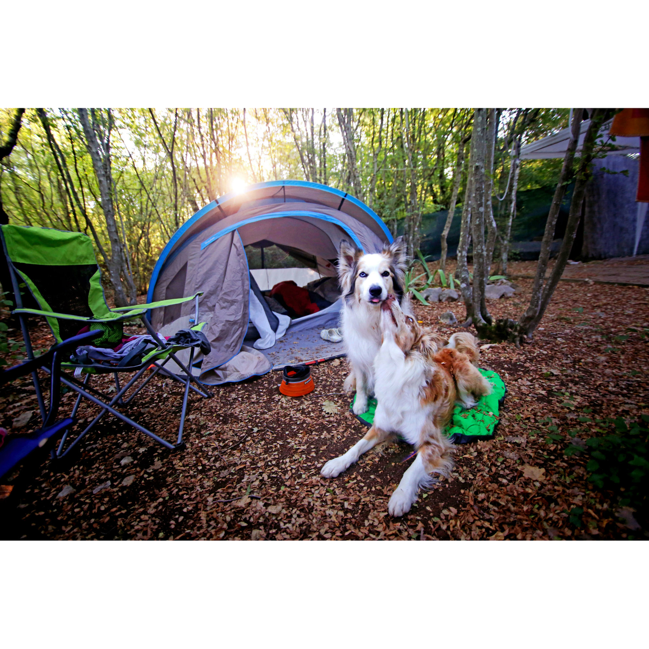Ruffwear Hundebett Highlands Bed für Outdoor Bild 8