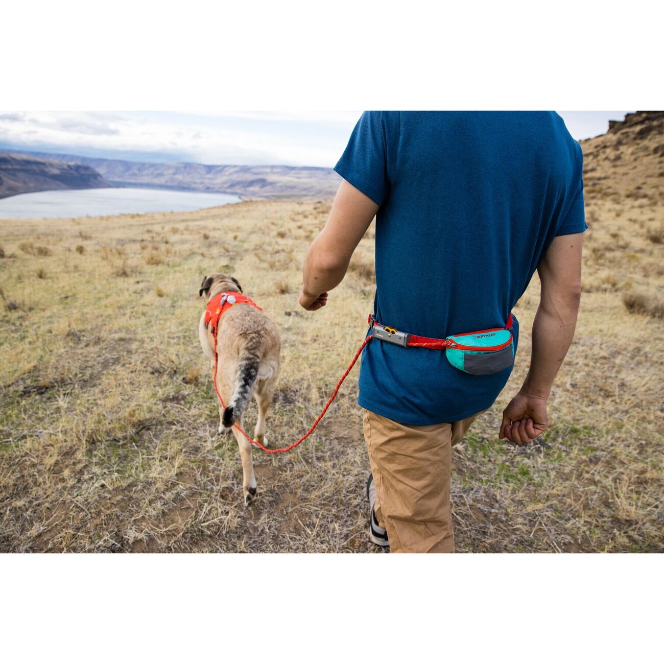 Hitch Hiker™ verstellbare Leine mit Brustgurt Bild 3