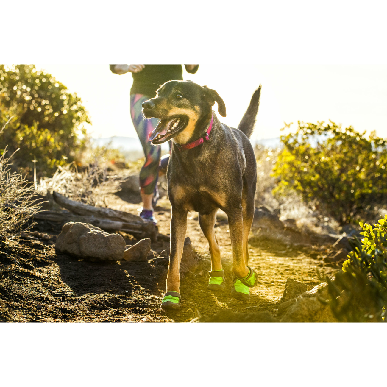 Ruffwear Hundehalsband Hoopie Collar Bild 5