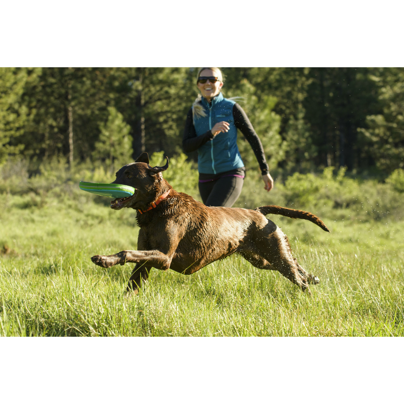 Ruffwear Hundehalsband Hoopie Collar Bild 14