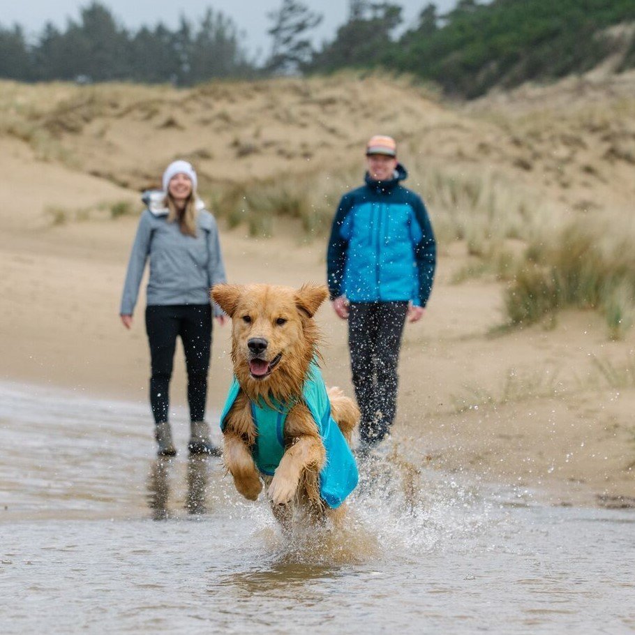 Hunde Regenmantel Sun Shower Bild 12