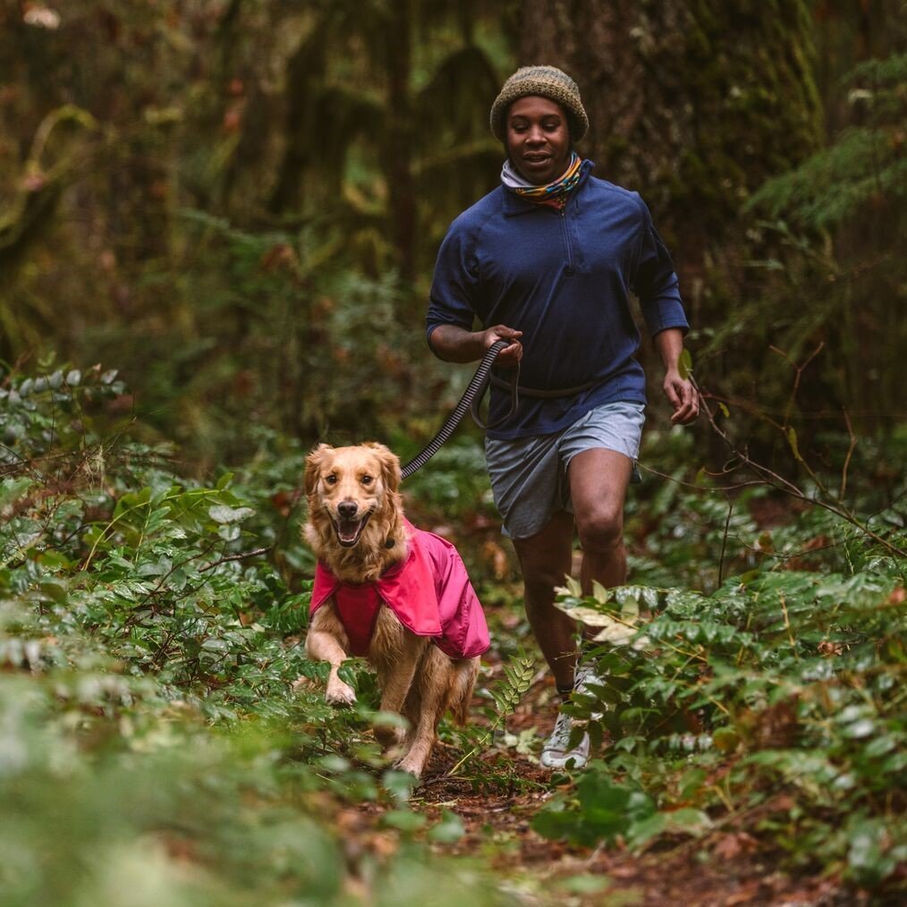 Hunde Regenmantel Sun Shower Bild 16