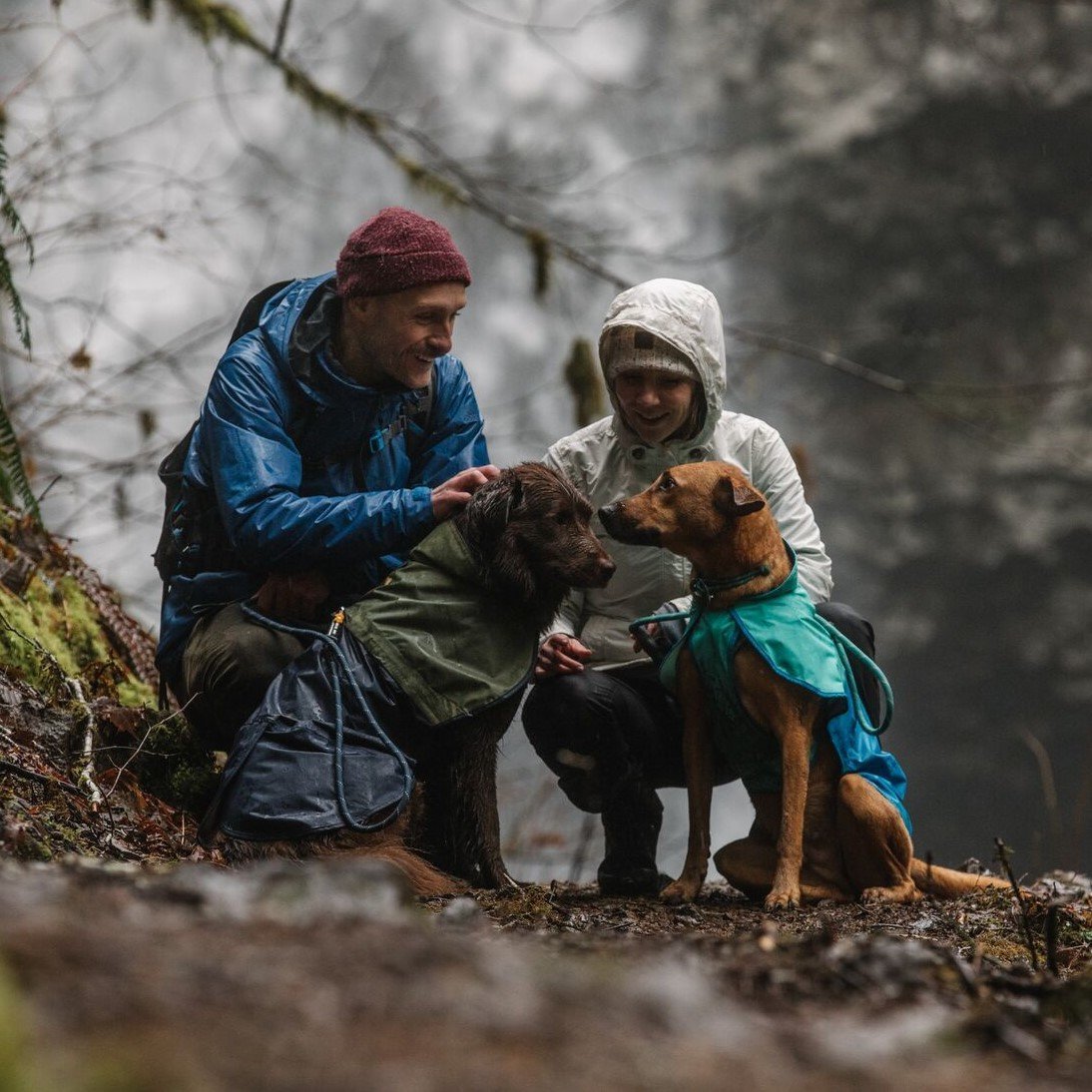 Hunde Regenmantel Sun Shower Bild 25