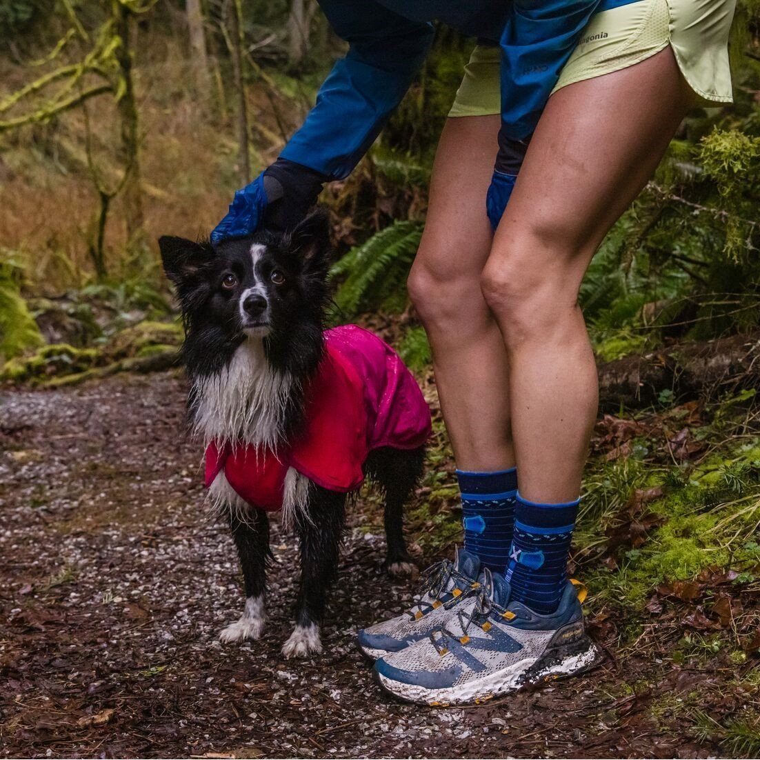 Hunde Regenmantel Sun Shower Bild 21