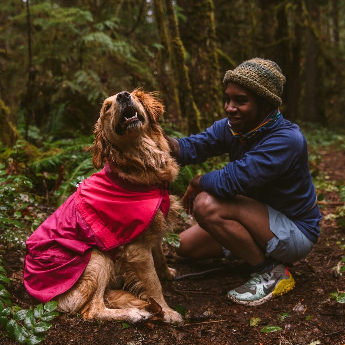 Hunde Regenmantel Sun Shower Bild 2