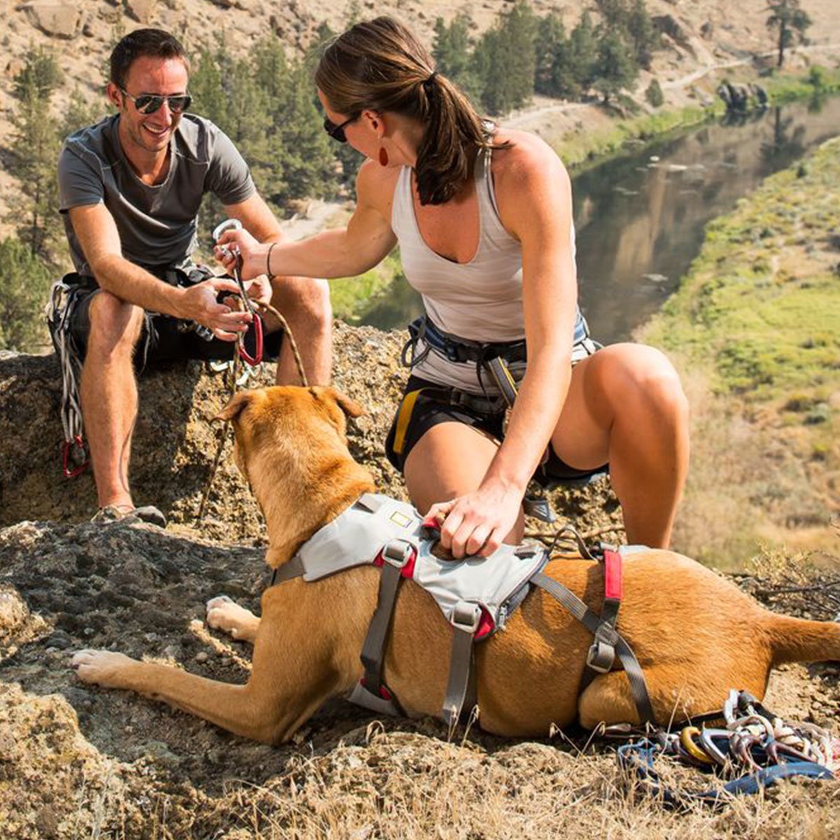 Ruffwear Hundegeschirr Doubleback Harness Bild 2