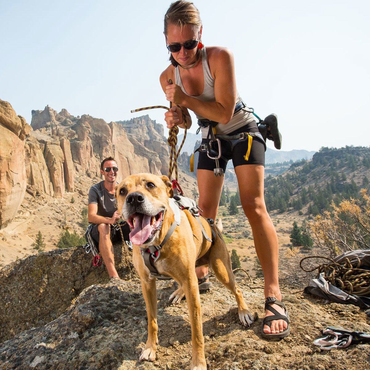 Ruffwear Hundegeschirr Doubleback Harness Bild 5