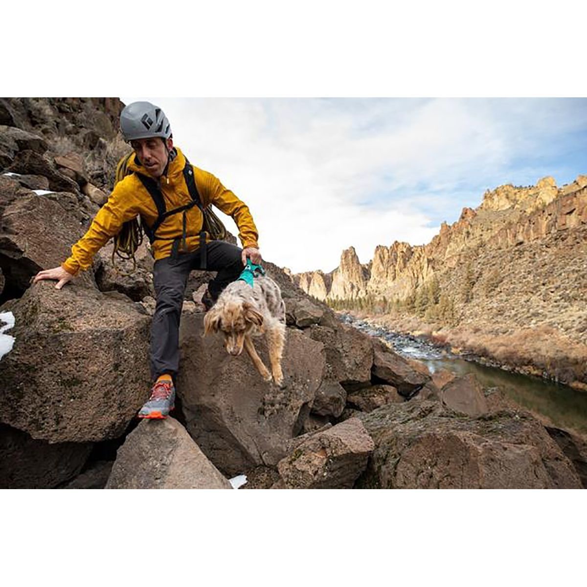 Ruffwear Hundegeschirr Flagline Bild 8