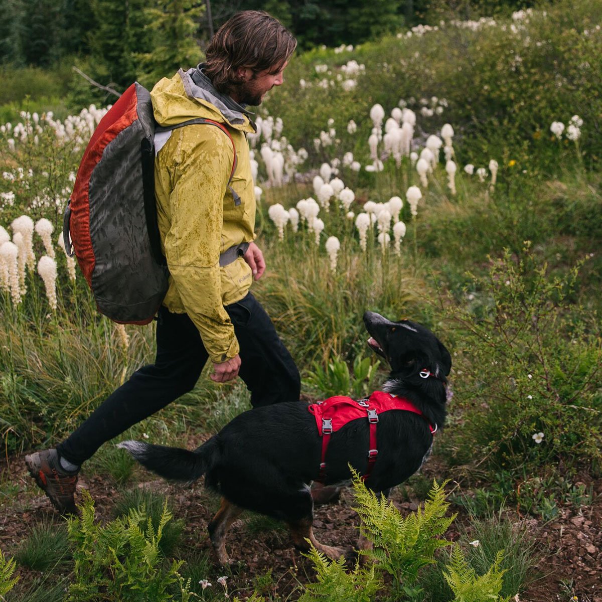 Ruffwear Hundegeschirr Flagline Bild 6