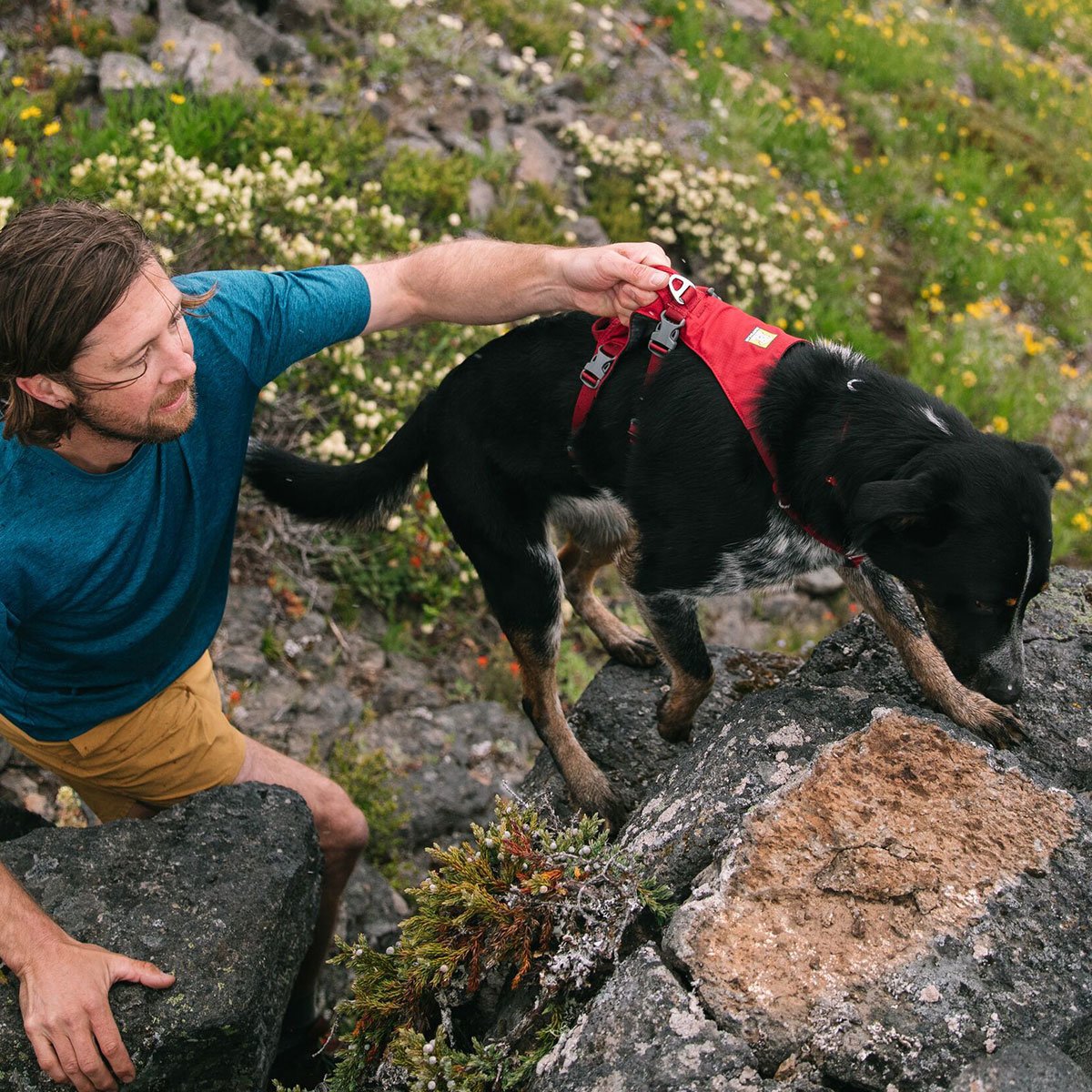 Ruffwear Hundegeschirr Flagline Bild 7