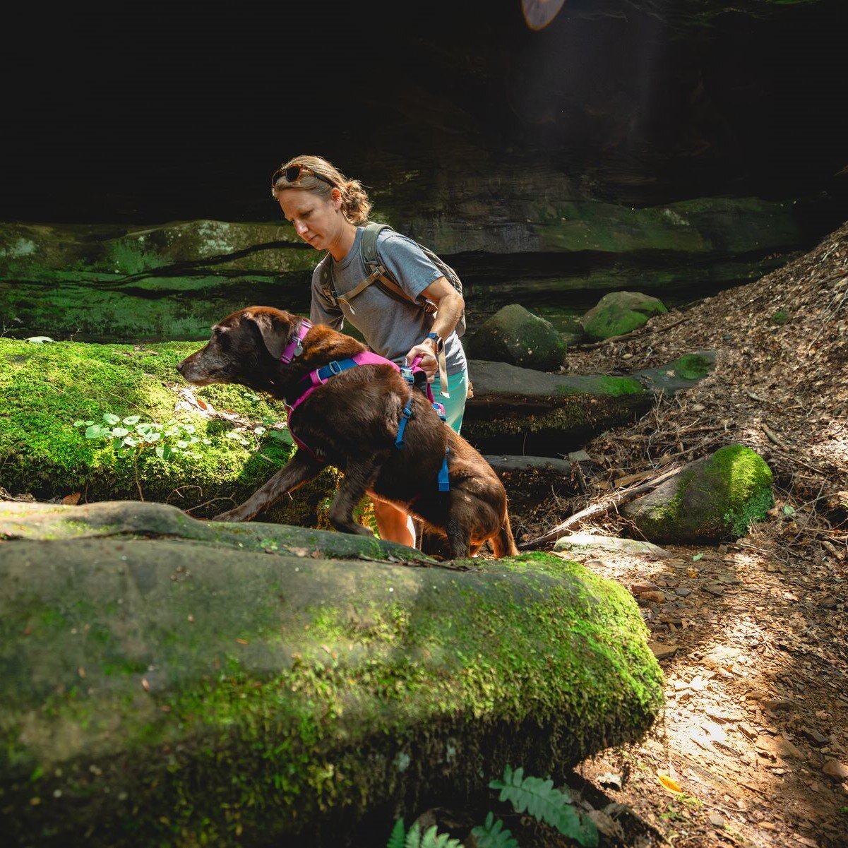 Ruffwear Hundegeschirr Flagline Bild 55