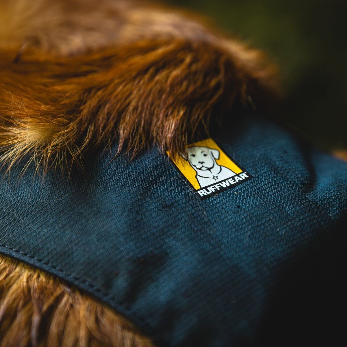 Ruffwear Hundegeschirr Flagline Bild 65