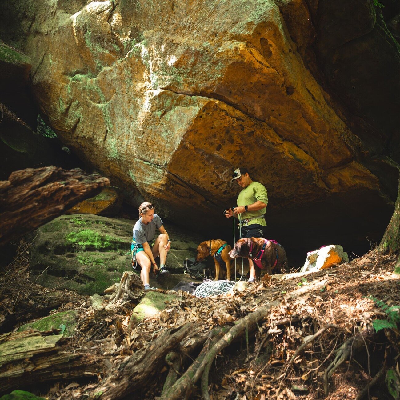 Ruffwear Hundegeschirr Flagline Bild 69