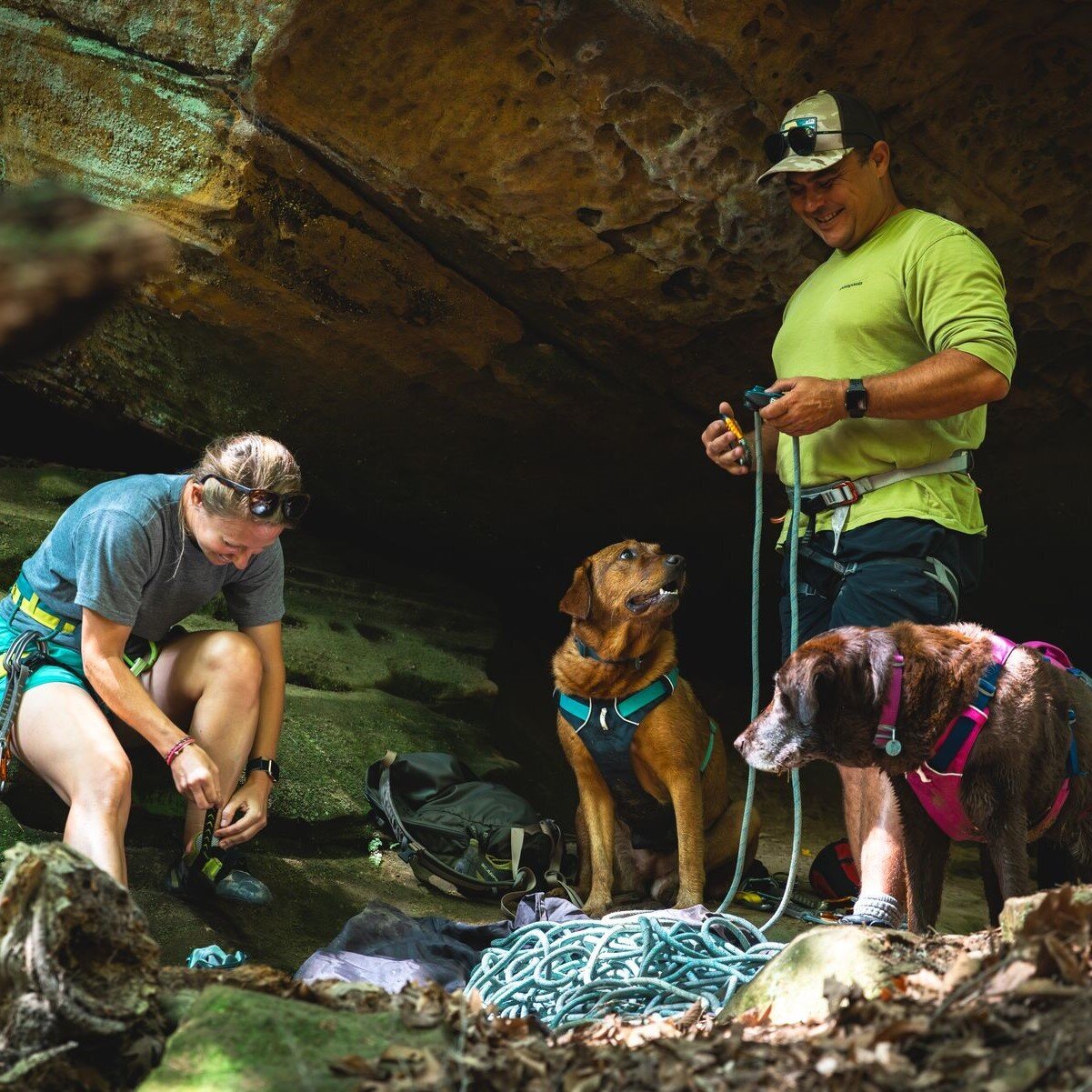 Ruffwear Hundegeschirr Flagline Bild 2