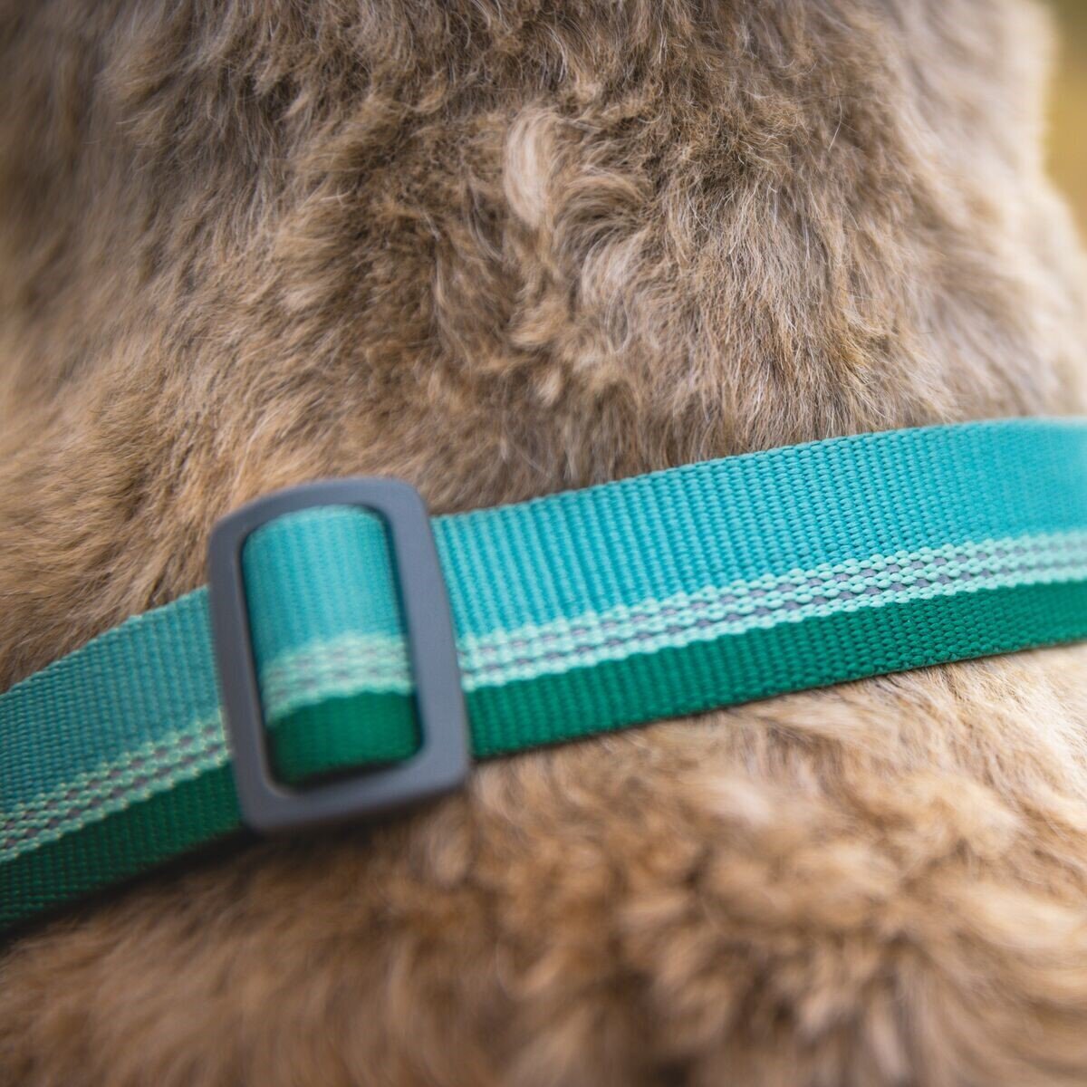 Ruffwear Hundehalsband Chain Reaction™ Bild 12