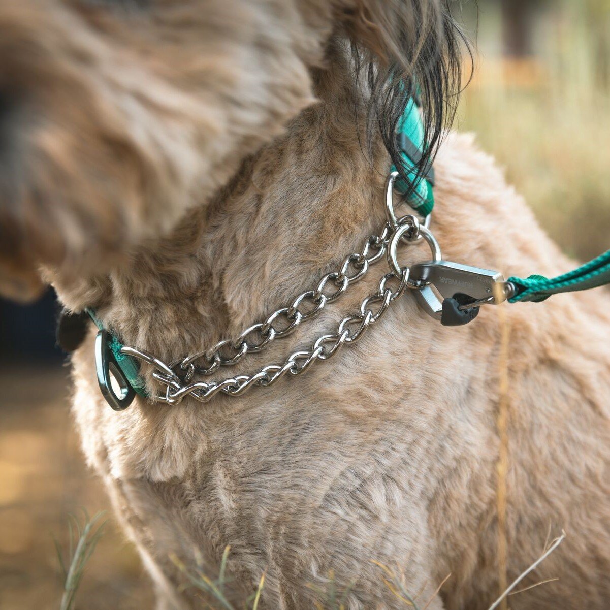 Ruffwear Hundehalsband Chain Reaction™ Bild 13