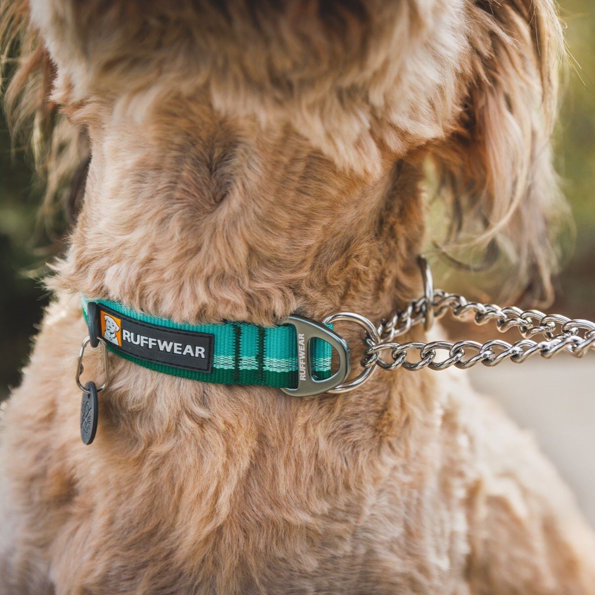 Ruffwear Hundehalsband Chain Reaction™ Bild 14