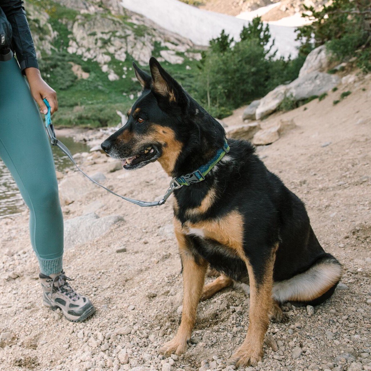 Hundeleine Quick Draw Bild 8