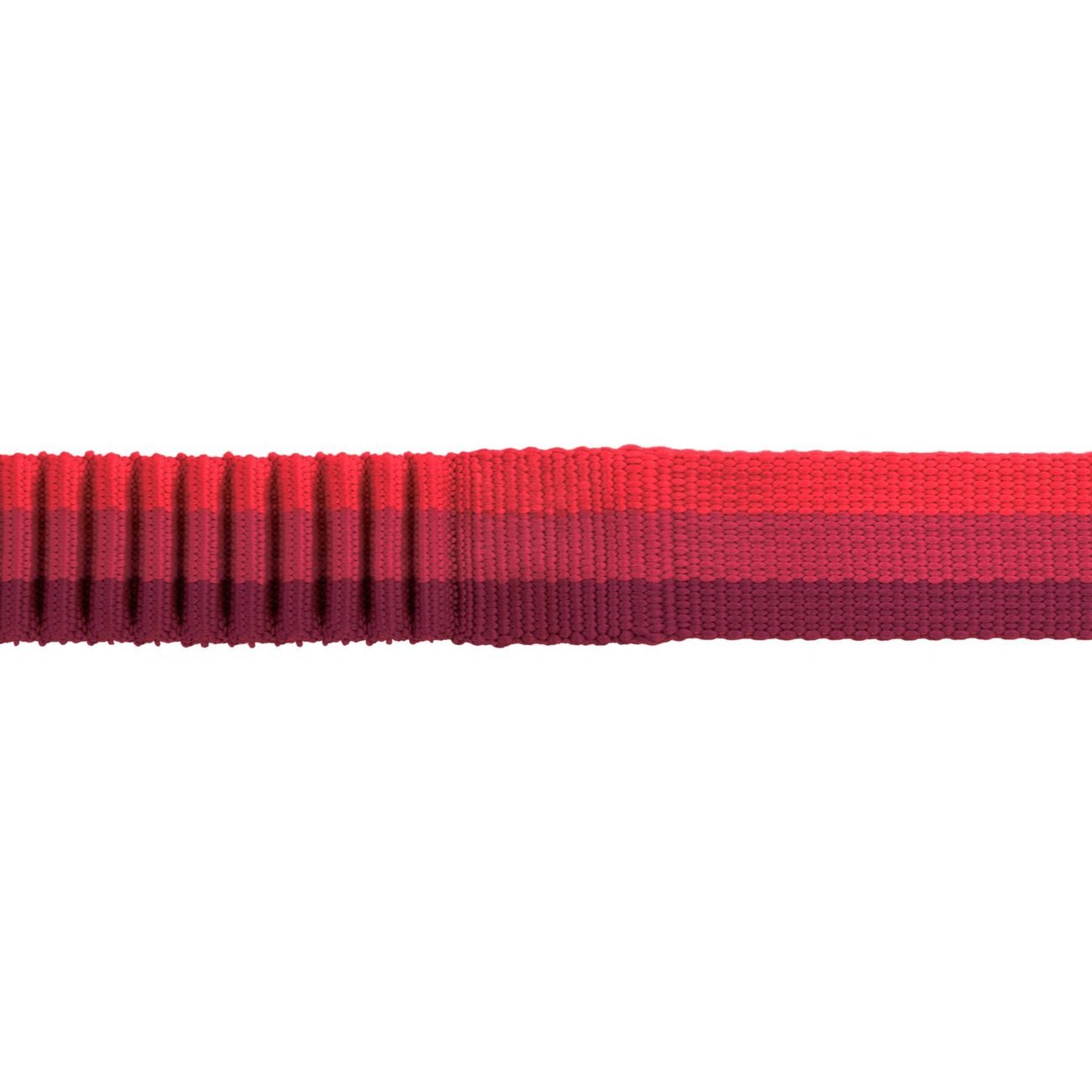 Hundeleine Roamer Leash Bild 9