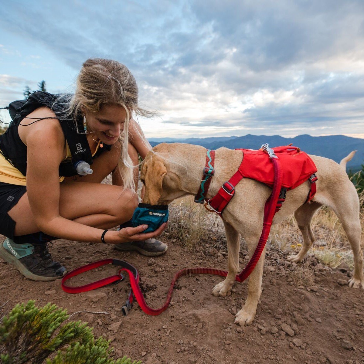 Hundeleine Roamer Leash Bild 5