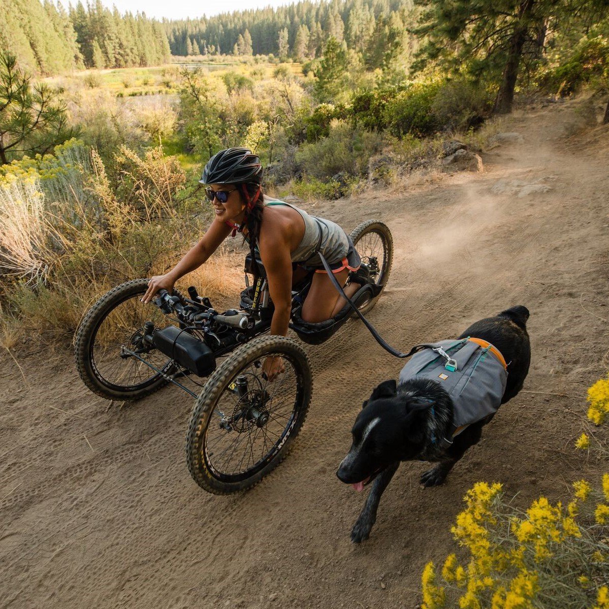 Hundeleine Roamer Leash Bild 12