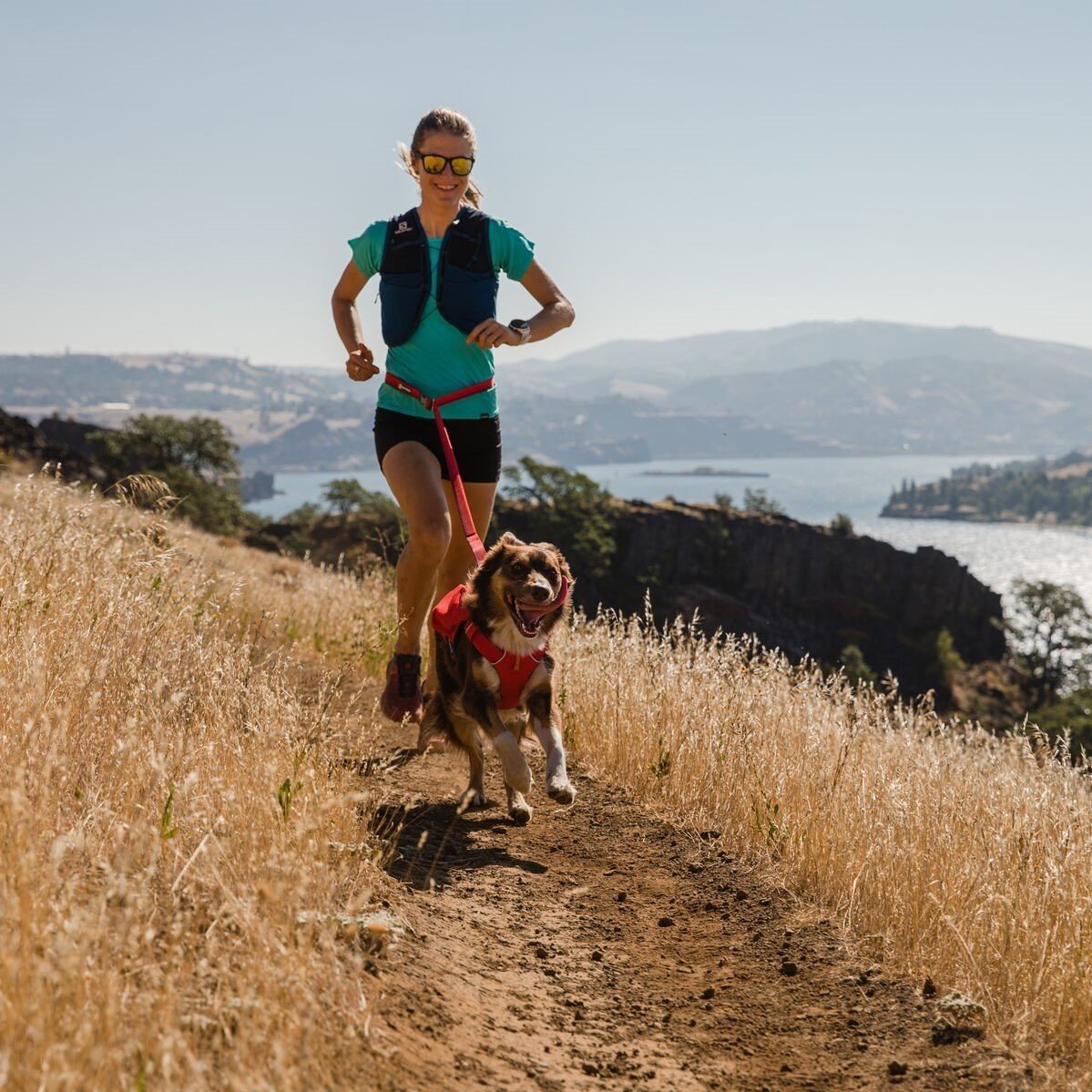 Hundeleine Roamer Leash Bild 2