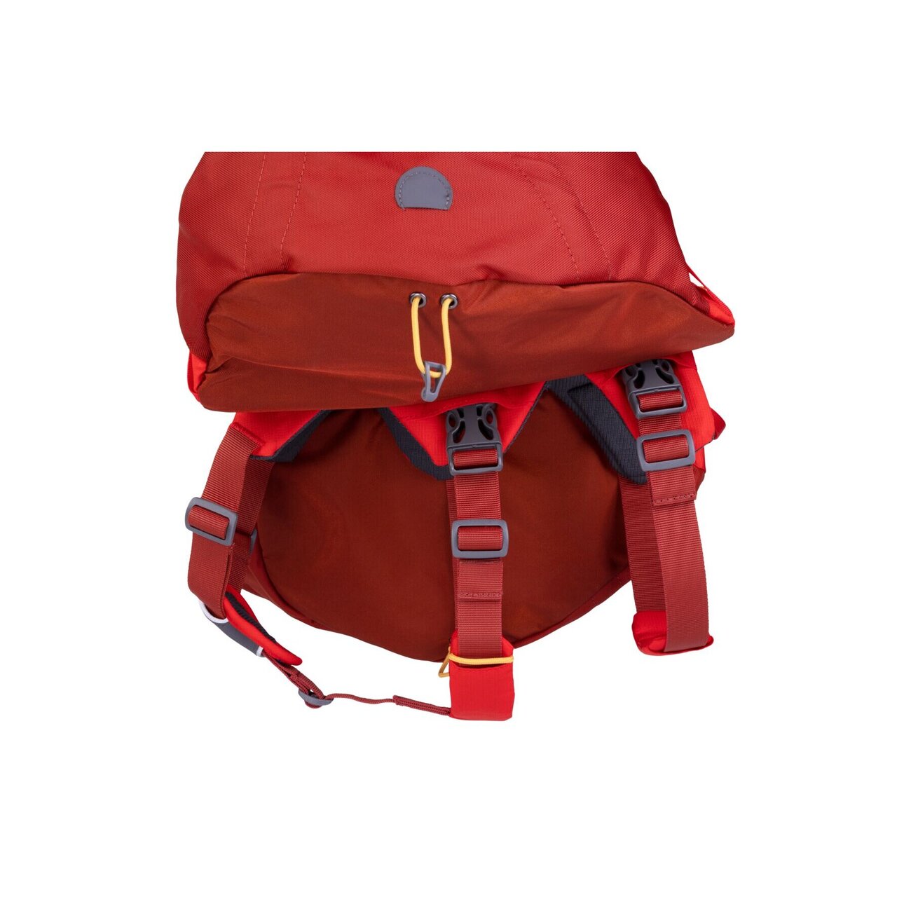 Ruffwear Hunderucksack Palisades™ Pack Bild 14