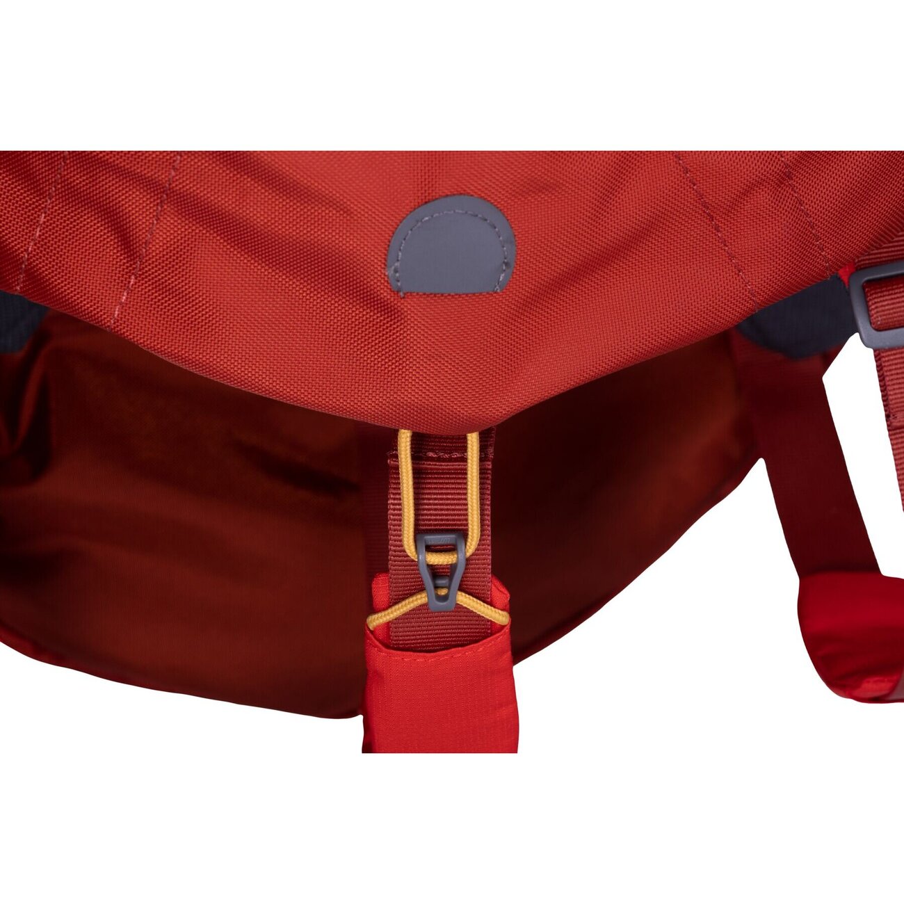 Ruffwear Hunderucksack Palisades™ Pack Bild 25