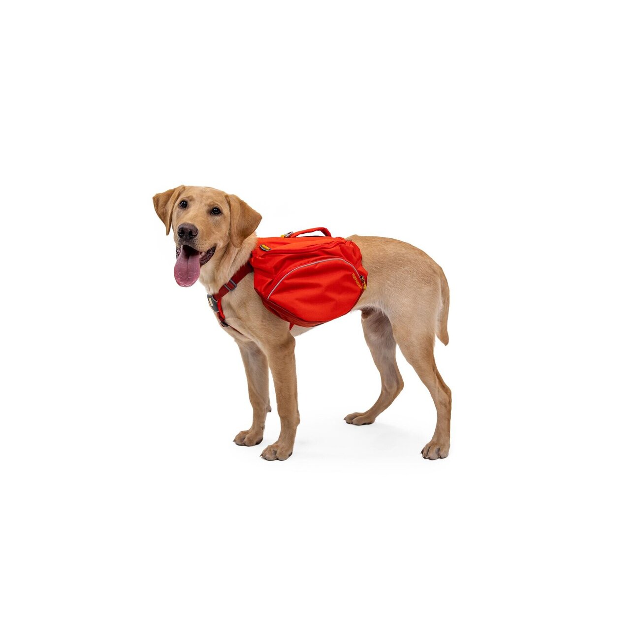 Ruffwear Hunderucksack Palisades™ Pack Bild 3
