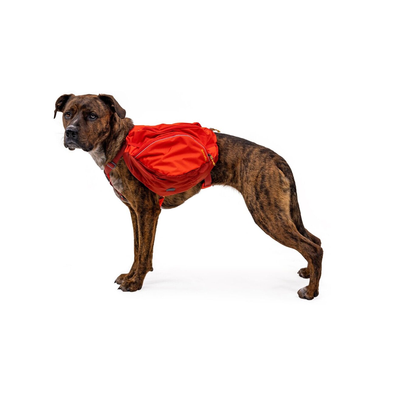 Ruffwear Hunderucksack Palisades™ Pack Bild 5