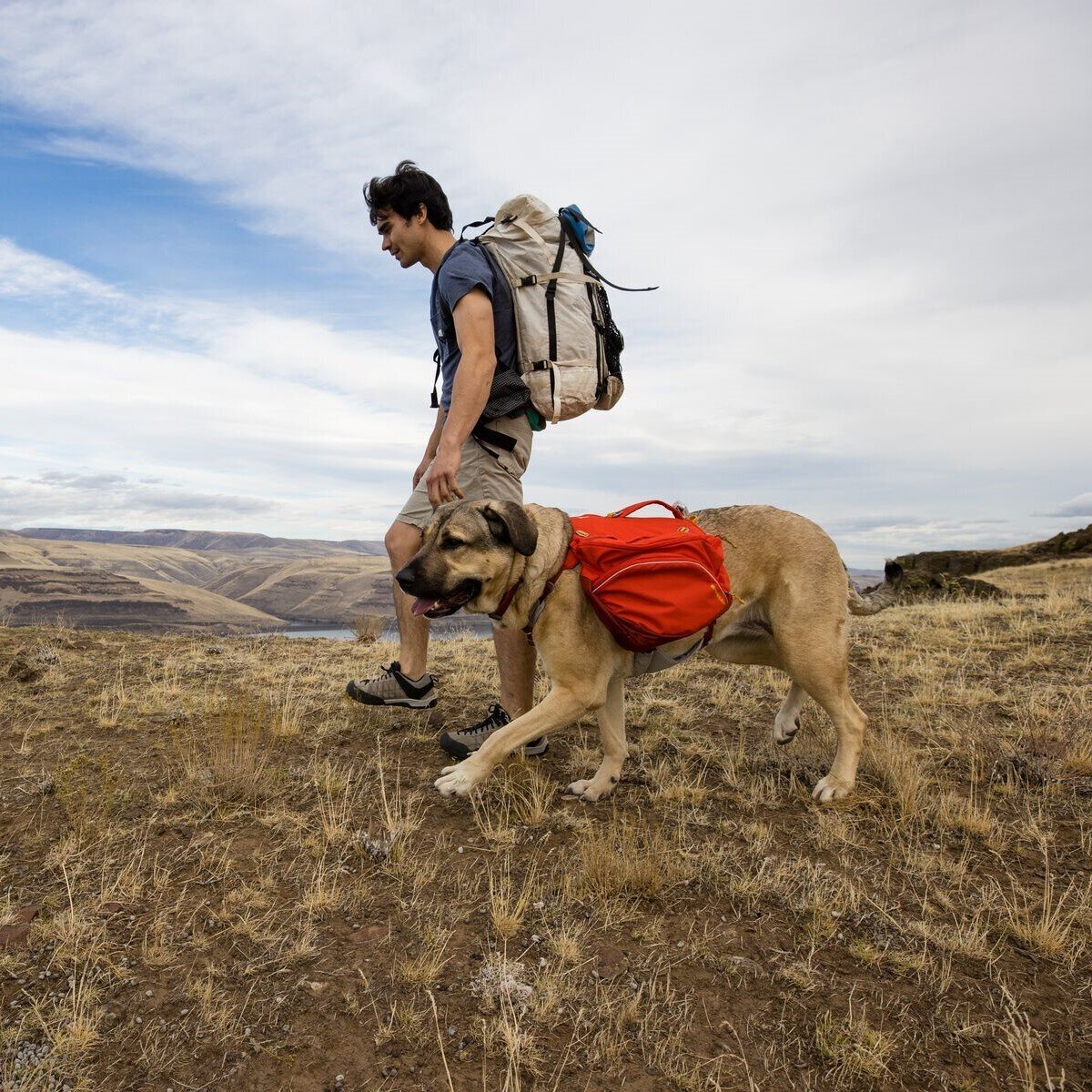 Ruffwear Hunderucksack Palisades™ Pack Bild 2