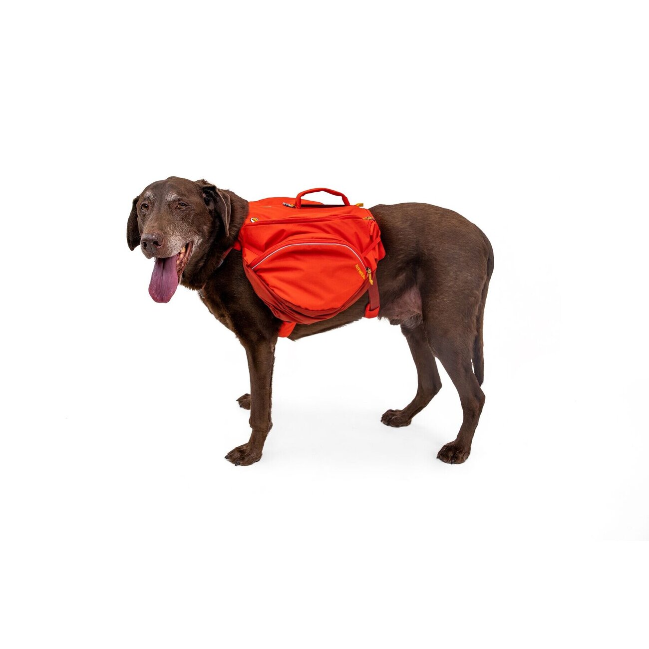 Ruffwear Hunderucksack Palisades™ Pack Bild 4