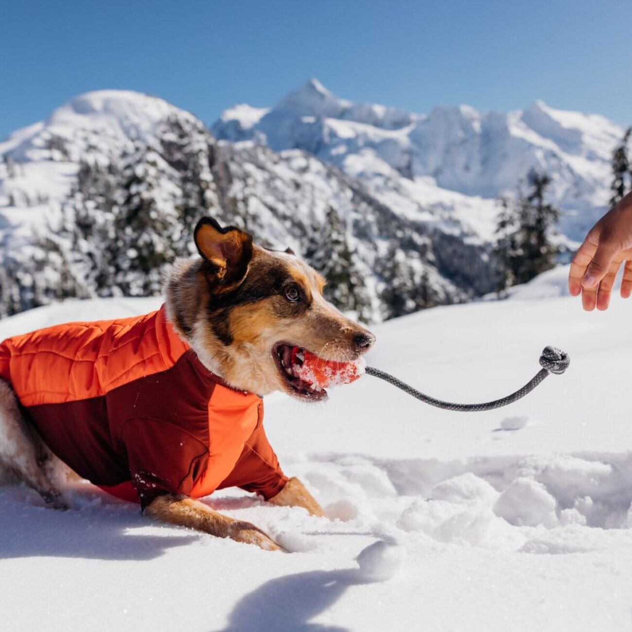 Hundespielzeug Huck-a-Cone mit Seil Bild 8