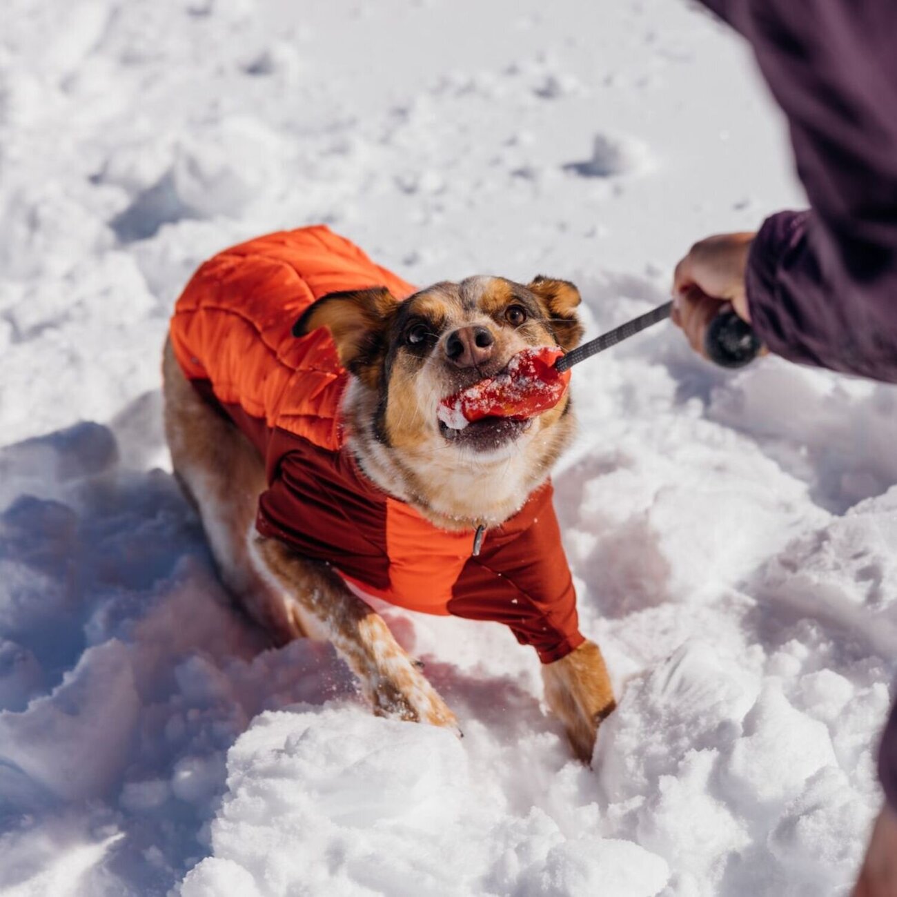 Hundespielzeug Huck-a-Cone mit Seil Bild 2