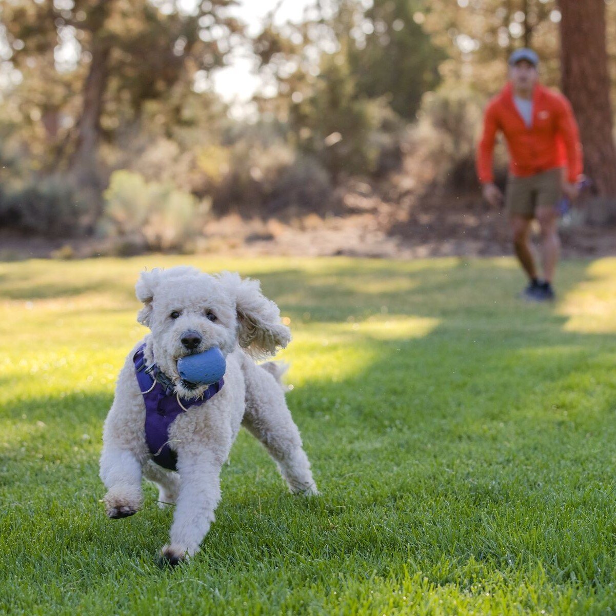 Ruffwear Hundespielzeug Huckama™ befüllbar Bild 3