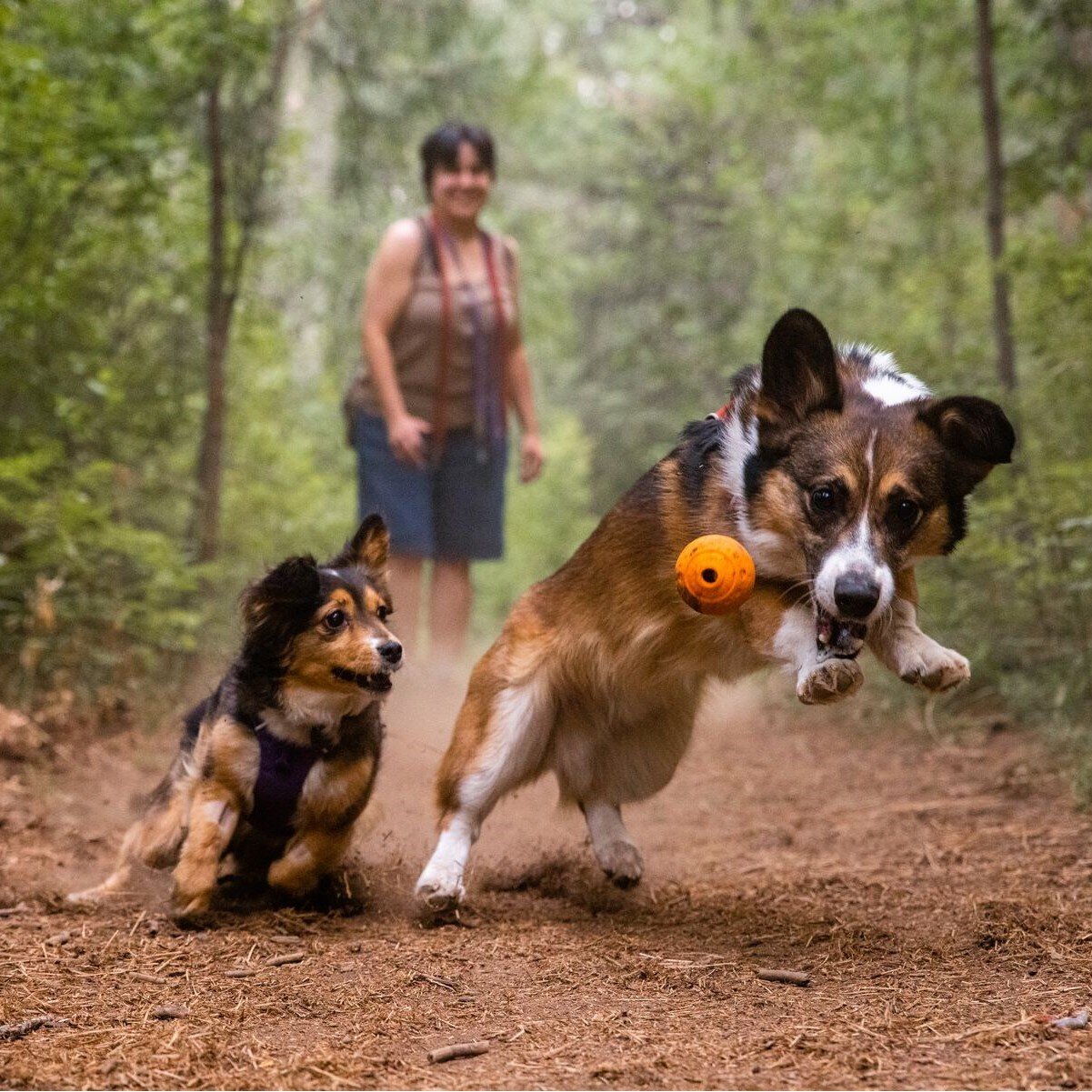 Ruffwear Hundespielzeug Turnup™ Ball für Hunde Bild 2