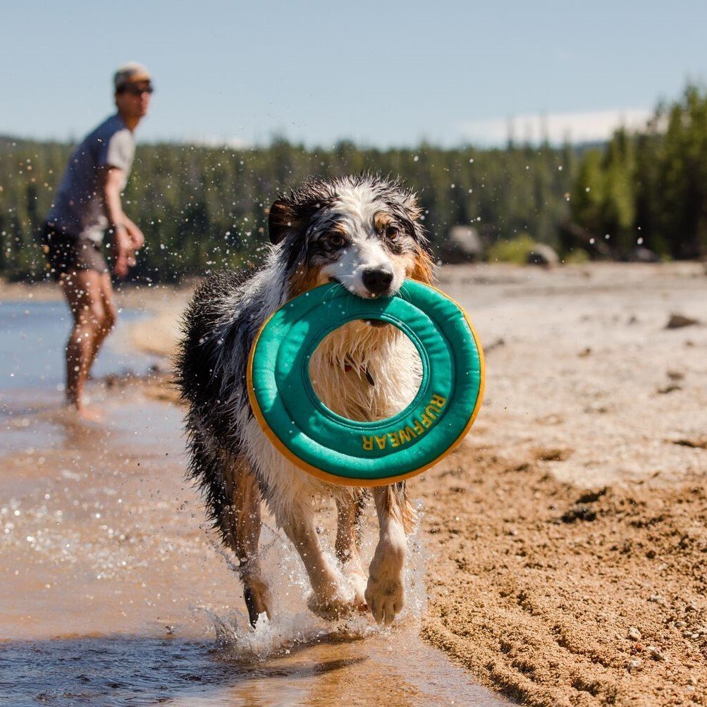Hydro Plane Wasser Spielzeug Bild 2