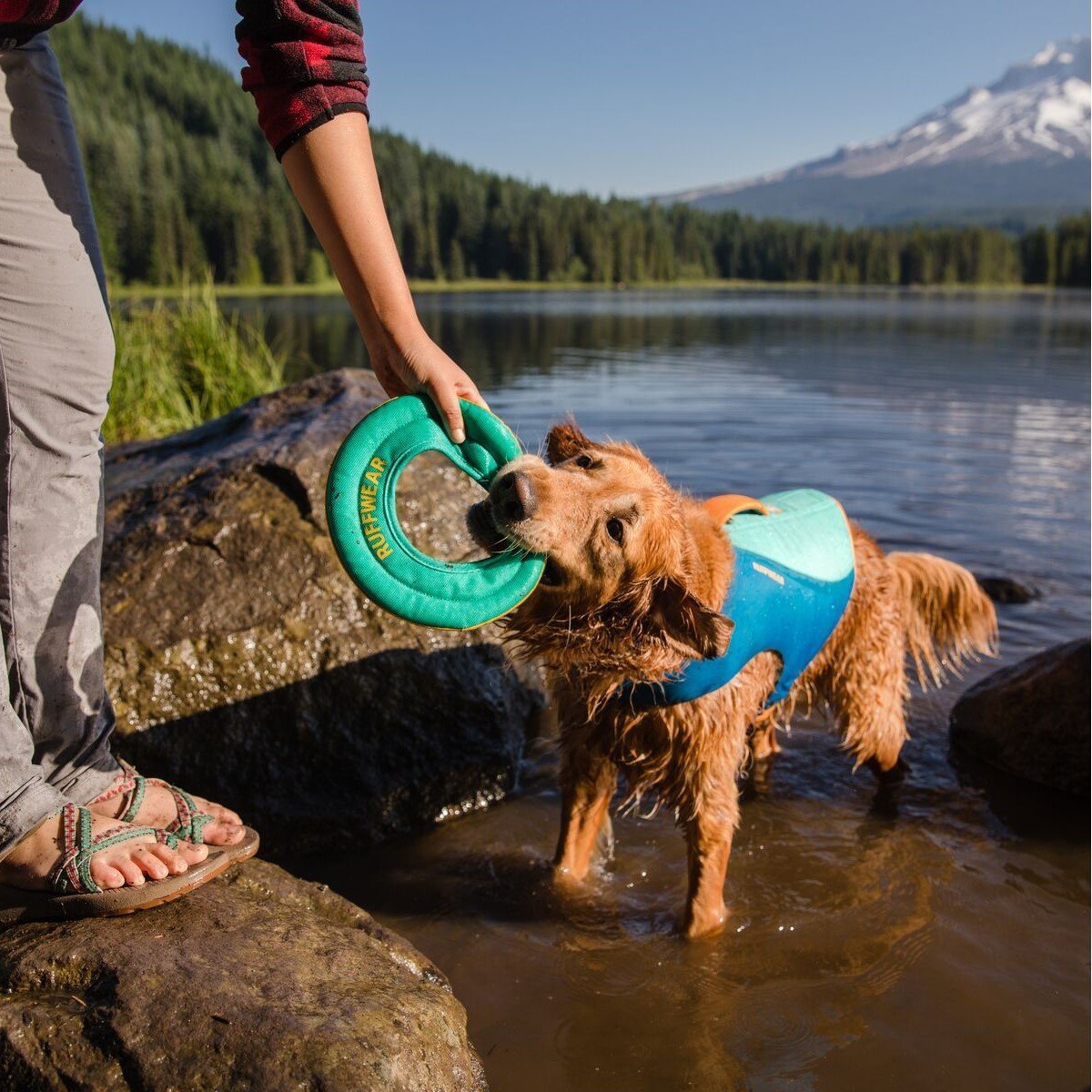 Hydro Plane Wasser Spielzeug Bild 8