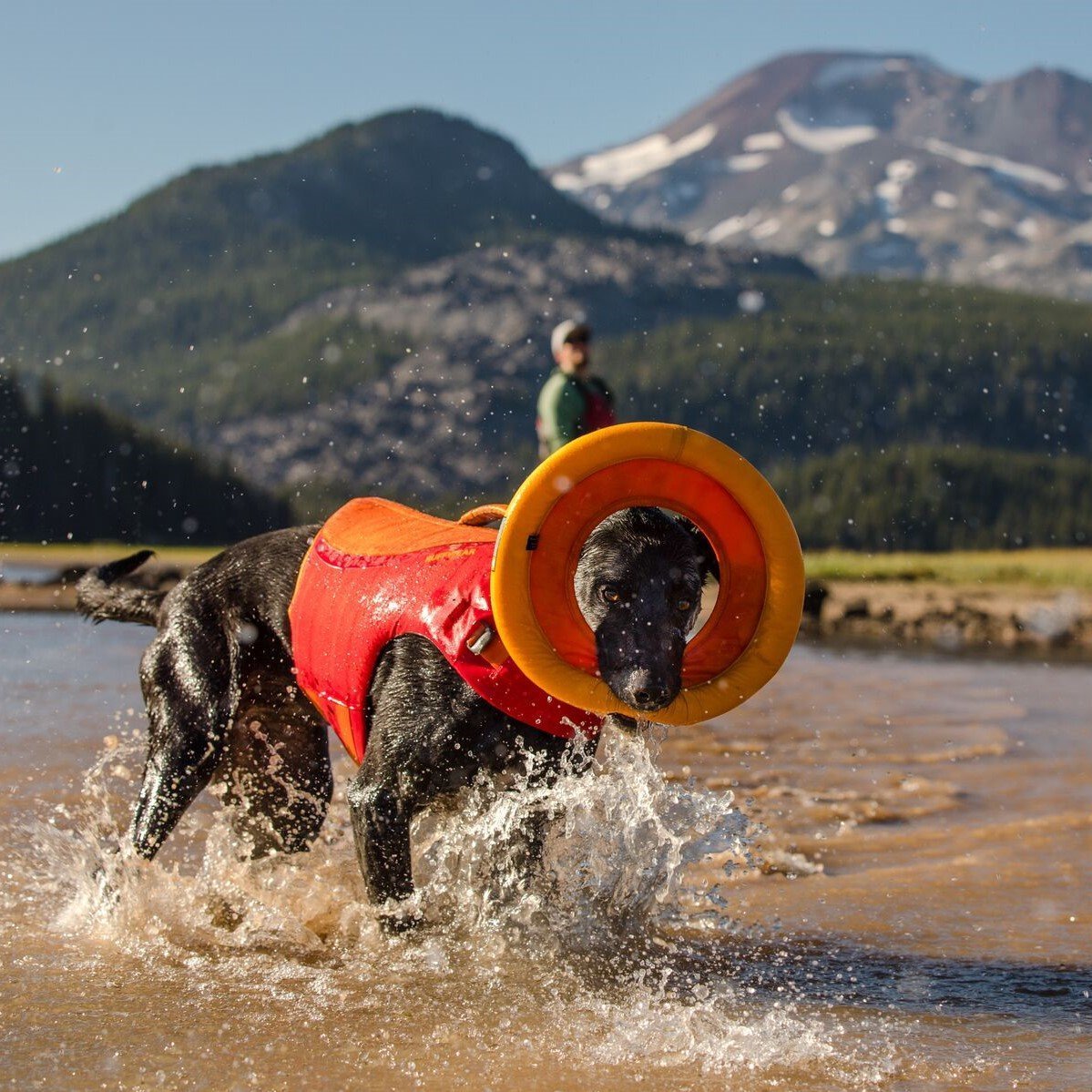 Hydro Plane Wasser Spielzeug Bild 4