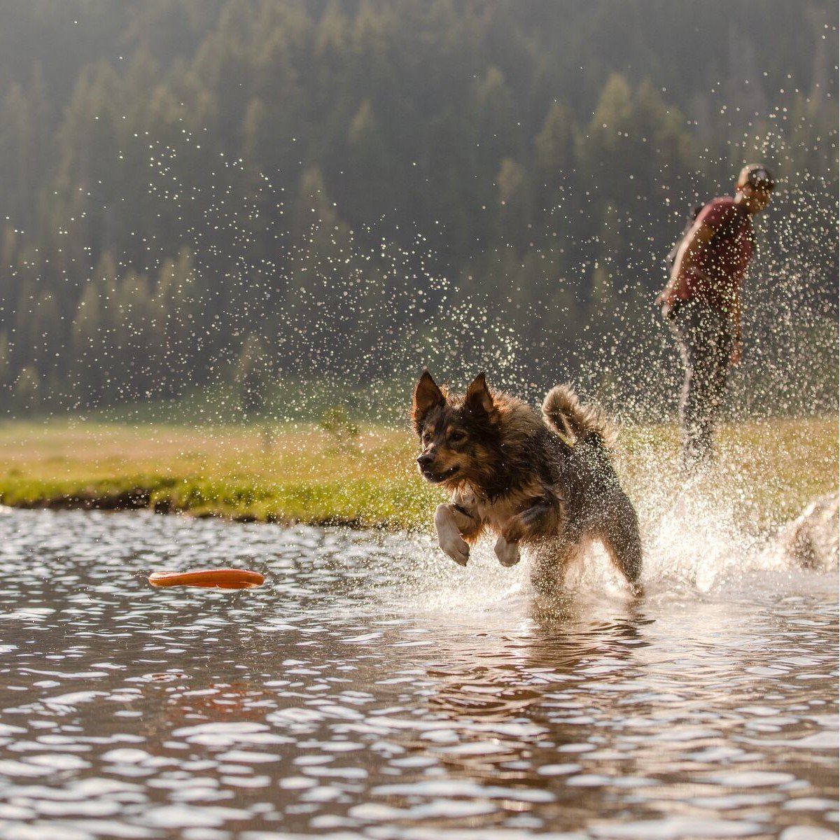 Hydro Plane Wasser Spielzeug Bild 14