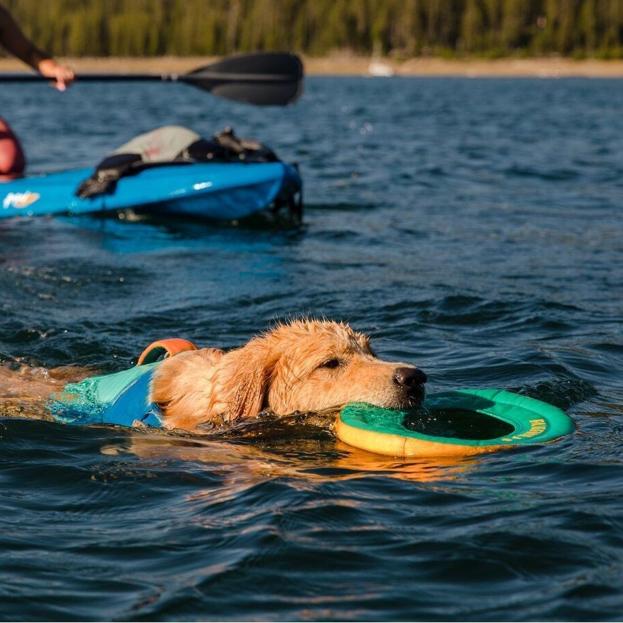 Hydro Plane Wasser Spielzeug Bild 6