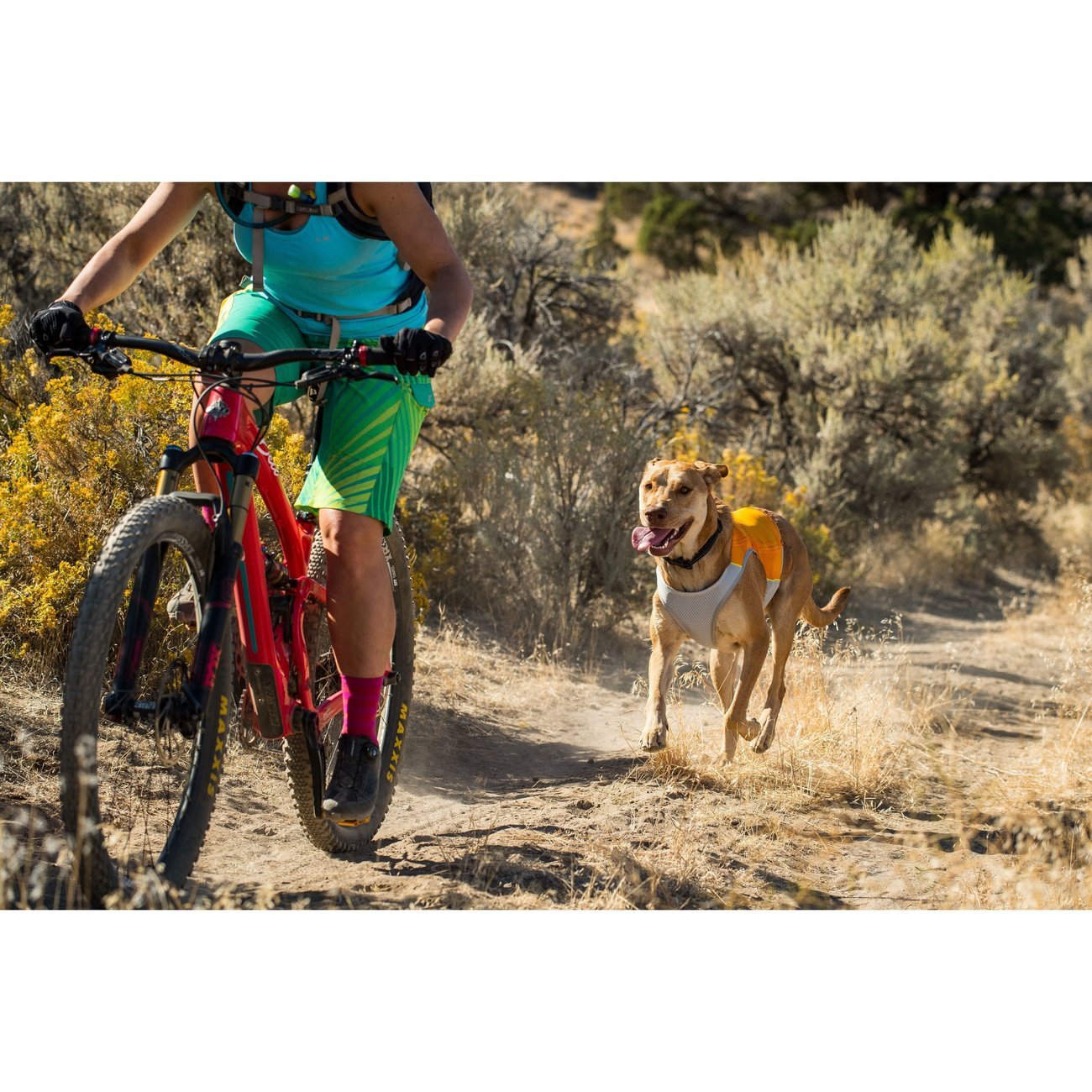 Ruffwear Jet Stream Kühlweste für Hunde Bild 4