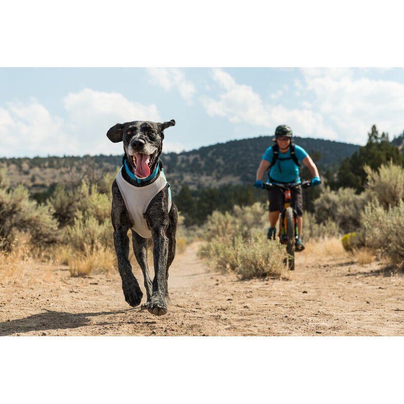 Ruffwear Jet Stream Kühlweste für Hunde Bild 3