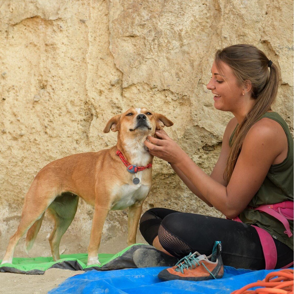 Ruffwear Knot-a-Collar Hundehalsband Bild 18